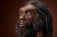 人类祖先是如何一步步进化的（人类第一个祖先是怎么来的）