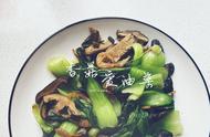 油白菜做法家常菜（油白菜的各种吃法大全）