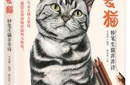 观复猫花名册（观复猫所有猫的名字）