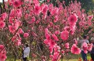 卧龙花园到百花园如何乘坐公交（卧龙花园去万达坐几路公交）