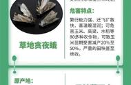 40种外来入侵物种有哪些（中国外来入侵52个物种名单）