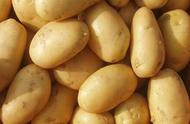 土豆的功效与作用能减肥吗（天天吃土豆瘦了30斤）