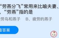 劳燕分飞的劳燕指的是什么意思（劳燕分飞的劳什么意思?）