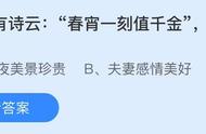 春宵一刻值千金原指什么意思（春宵一刻值千金到底指什么）