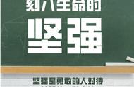 心理健康宣传教育标语（学校心理健康宣传标语大全）