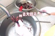 小龙虾剪头去腮图解（小龙虾解剖方法图解）