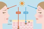 防晒霜spf值一般是抵抗哪种紫外线（不同紫外线强度对应防晒霜指数）