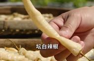 湖南白辣椒怎么炒好吃（湖南干白辣椒怎么炒好吃）