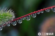 秋雨的图片唯美雨景伤感（下雨图片伤感唯美图）