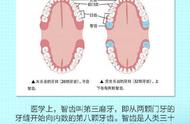 智齿图片（拔智齿需要多少钱一颗）