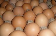 柴鸡蛋和土鸡蛋区别（真假土鸡蛋区分图片）