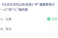 遥知兄弟登高处中的少一人是指谁（遥知兄弟登高处遍插茱萸少一人中的少一人是指谁）