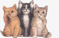 三只小猫的简短故事（三只骄傲的小猫的故事感悟）