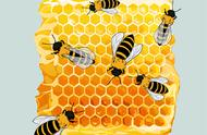 蜂蜜为什么不宜放冰箱（冰箱放鸡蛋的危害）