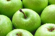 苹果的种植方式简介（苹果的种植方法总结为三种）