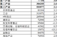 gdp的通俗意思（gdp是利润还是营业额）