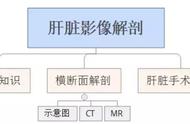 肝脏在身体示意图（肝脏在人体的哪个位置示意图）