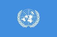 联合国国徽的象征意义（联合国徽章图案所表示的含义）