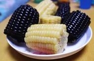 水果玉米跟糯玉米哪个热量高（普通玉米和水果玉米的热量）