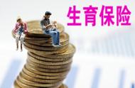 申请休产假需要什么证（7个月休产假需要如何申请）