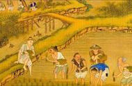 古代人如何培育水稻（古时候水稻的种植）