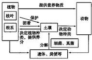 生态系统稳定性的原理是什么（生态系统维持稳定性的原因）