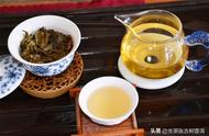 普洱茶的文化与历史（普洱茶的来源和历史）