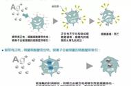 纳米银是怎么做成（纳米银的33种神奇妙用）