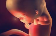 胚胎早期发育过程图（胚胎发育全过程简介）