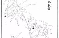 竹子的画法详细图解（十五种竹子画法）
