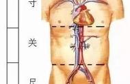 把脉入门必背口诀禅问网（把脉入门必背口诀100个字）