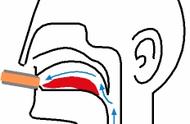 吹气震音的正确方法