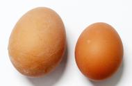 双黄蛋为什么孵不出小鸡来（孵不出小鸡的蛋是怎么来的）