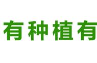 西瓜大了用什么肥料最佳（西瓜一般施什么肥料最好）