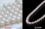 紫色的珍珠跟白色珍珠哪个更好（彩色珍珠和白色珍珠哪个更好看）