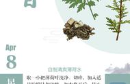 薄荷叶怎么做成薄荷水（新鲜薄荷叶做薄荷水方法）