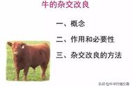 水牛繁育（斑马自然繁育的方法）