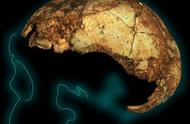 世界上发现最古老的人类化石（目前发现最早的人类化石）