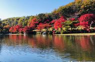 京都红叶最好的景点（京都看红叶最佳时间）