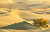 热带沙漠气候的特点及原因（热带沙漠气候特点和分布规律）