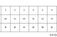 乐理基础知识教程全集（乐理基础知识入门全集）