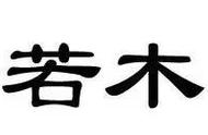 有呆字开头的四字成语（傻字开头的四字成语大全）