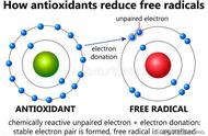 什么叫自由基是怎么引起的（什么是自由基以及自由基的危害）