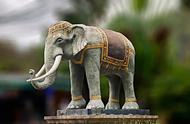 大象与泰国有什么关系（大象为什么在泰国很重要）