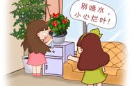 花卉浇水是灌水还是喷水（花卉应该怎样正确浇水）