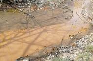 洗沙污水灌溉对农作物的影响（污水灌溉的生态风险评估方法）