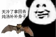 蝙蝠吉祥图案（吉祥图案几只蝙蝠）