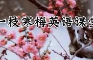 learn的近义词和反义词（learn反义词怎么写）