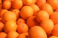 橙子种植方法图解（橙子种植最佳地点）