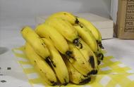 大蕉与香蕉的区别（公认最好吃的香蕉）